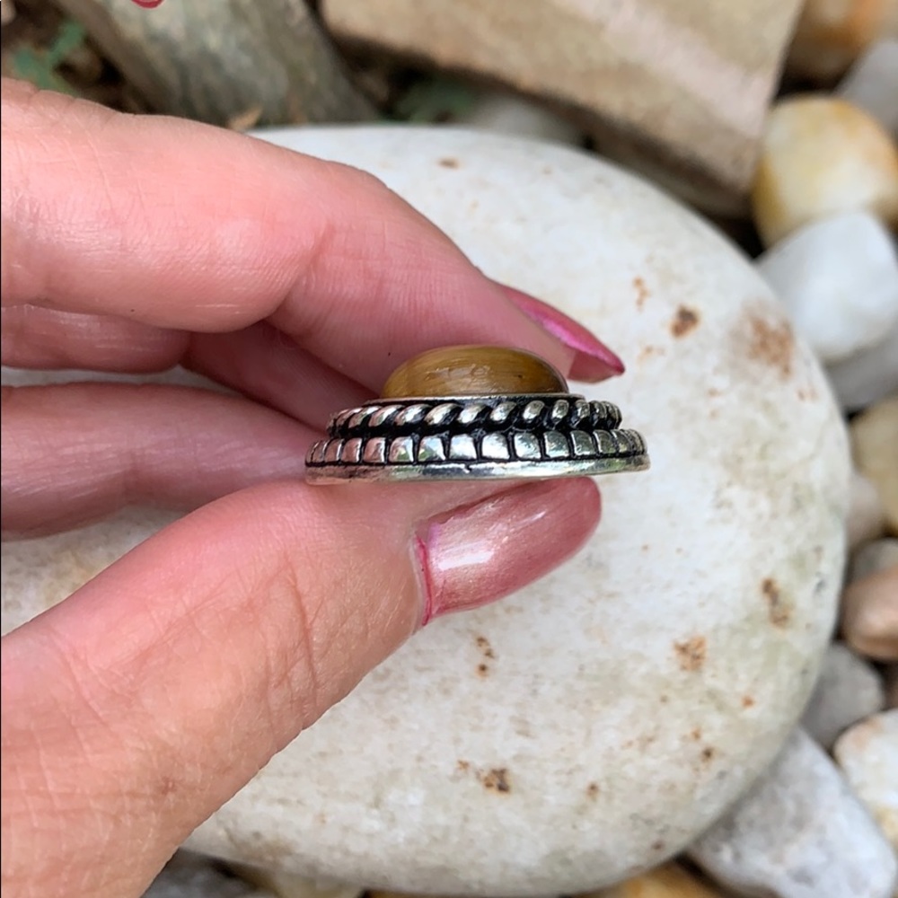 Premier Designs Silver-tone & Tigers Eye Pendant - Picture 8 of 11